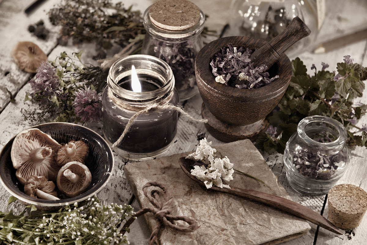 Toned close up with black candle, mushrooms, diary and healing herbs. Alternative medicine, old pharmaceutic and homeopathic concept. Mystic and occult still life, vintage medical background